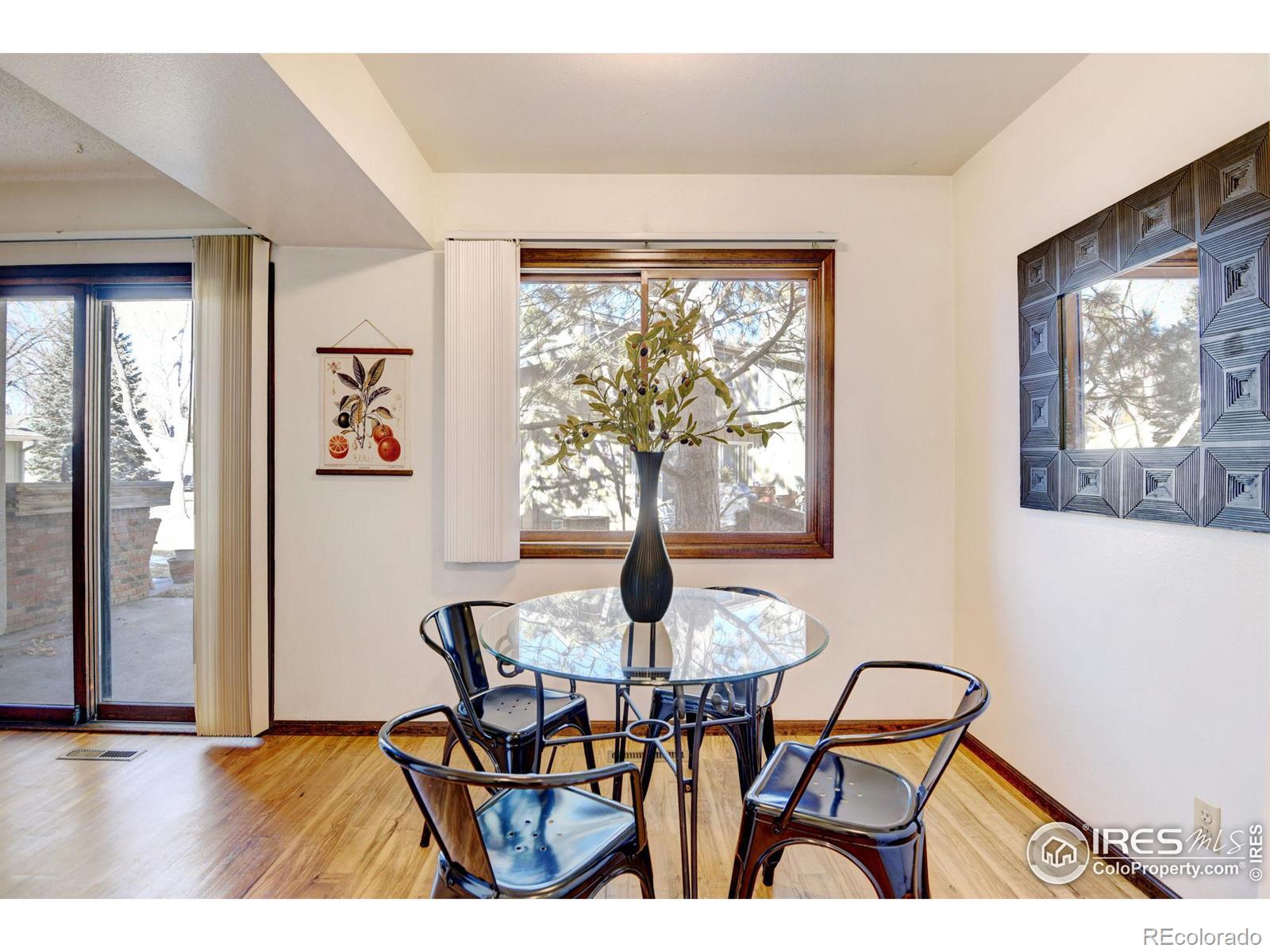 MLS Image #10 for 3024  marina lane,fort collins, Colorado