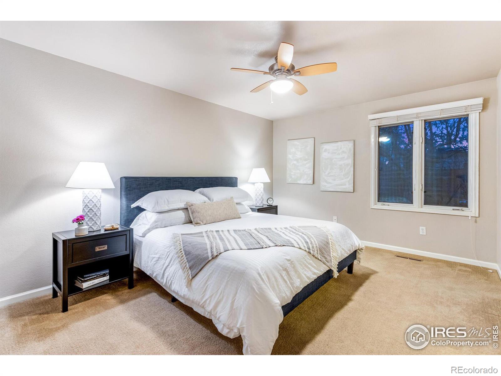 MLS Image #21 for 3237  nelson lane,fort collins, Colorado