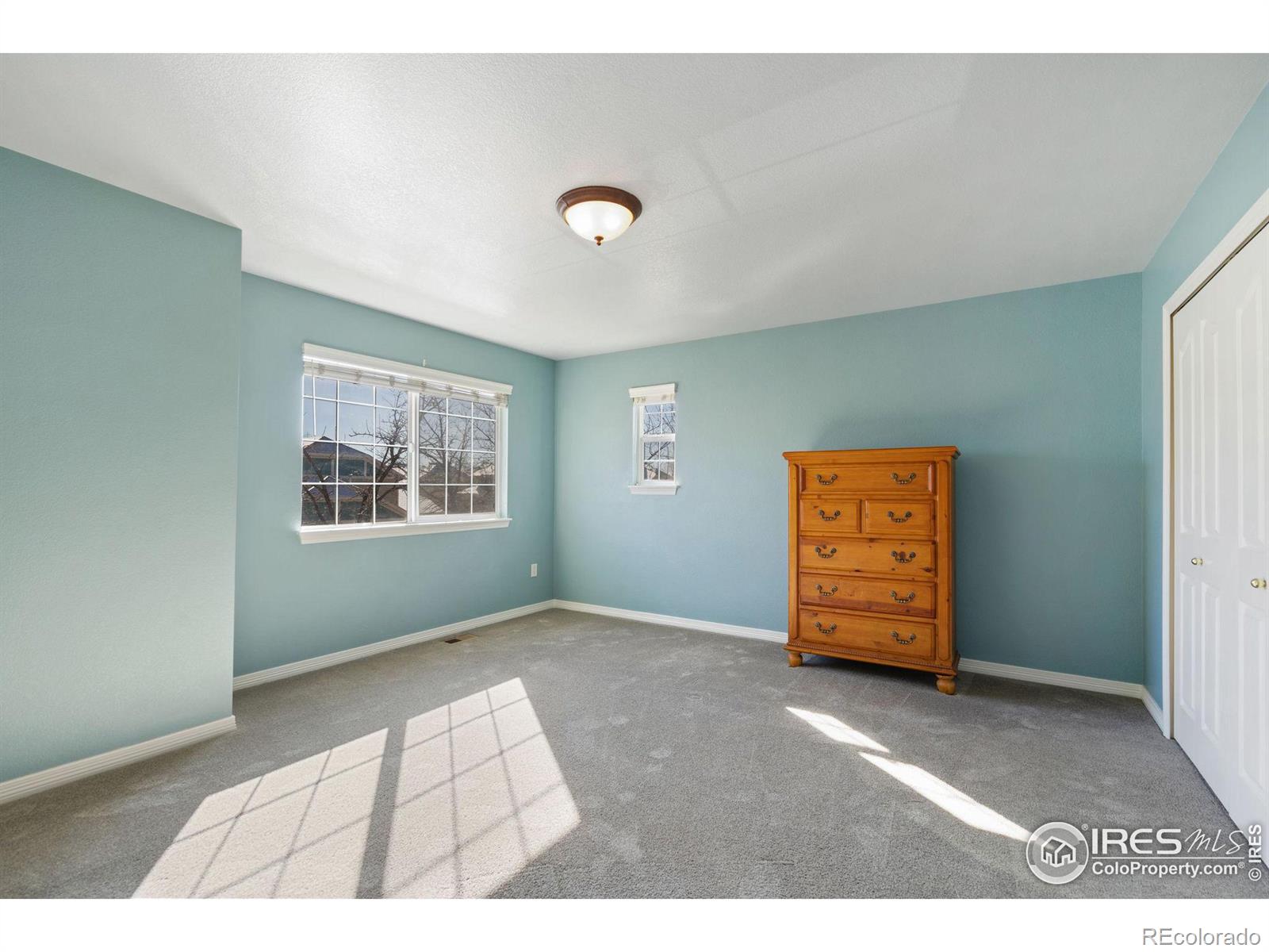 MLS Image #12 for 1009  andrews peak drive,fort collins, Colorado