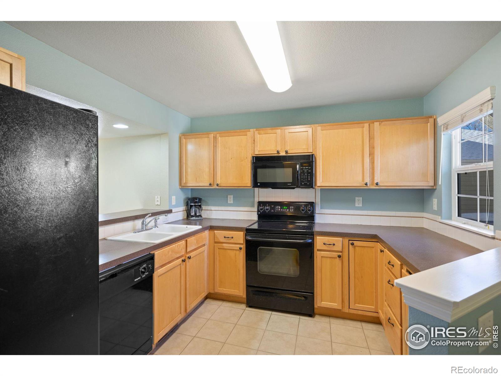 MLS Image #5 for 1009  andrews peak drive,fort collins, Colorado