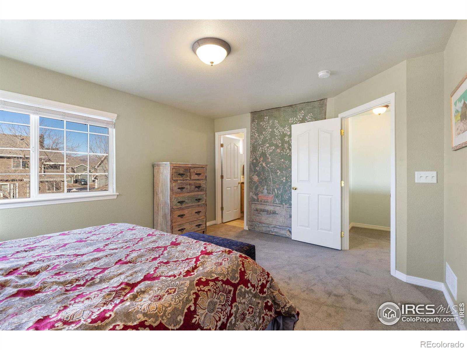 MLS Image #9 for 1009  andrews peak drive,fort collins, Colorado