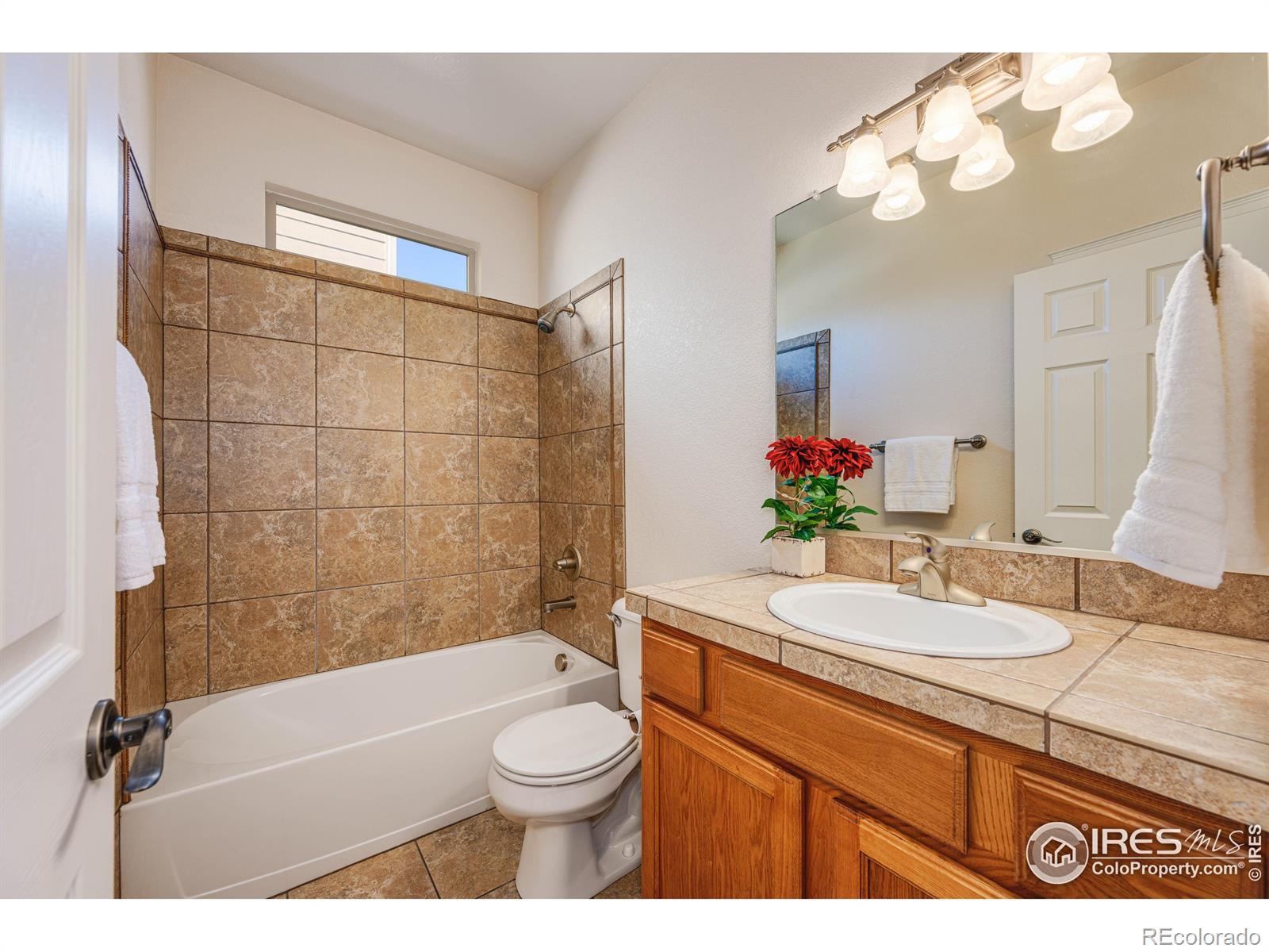 MLS Image #23 for 3532  wild view drive,fort collins, Colorado