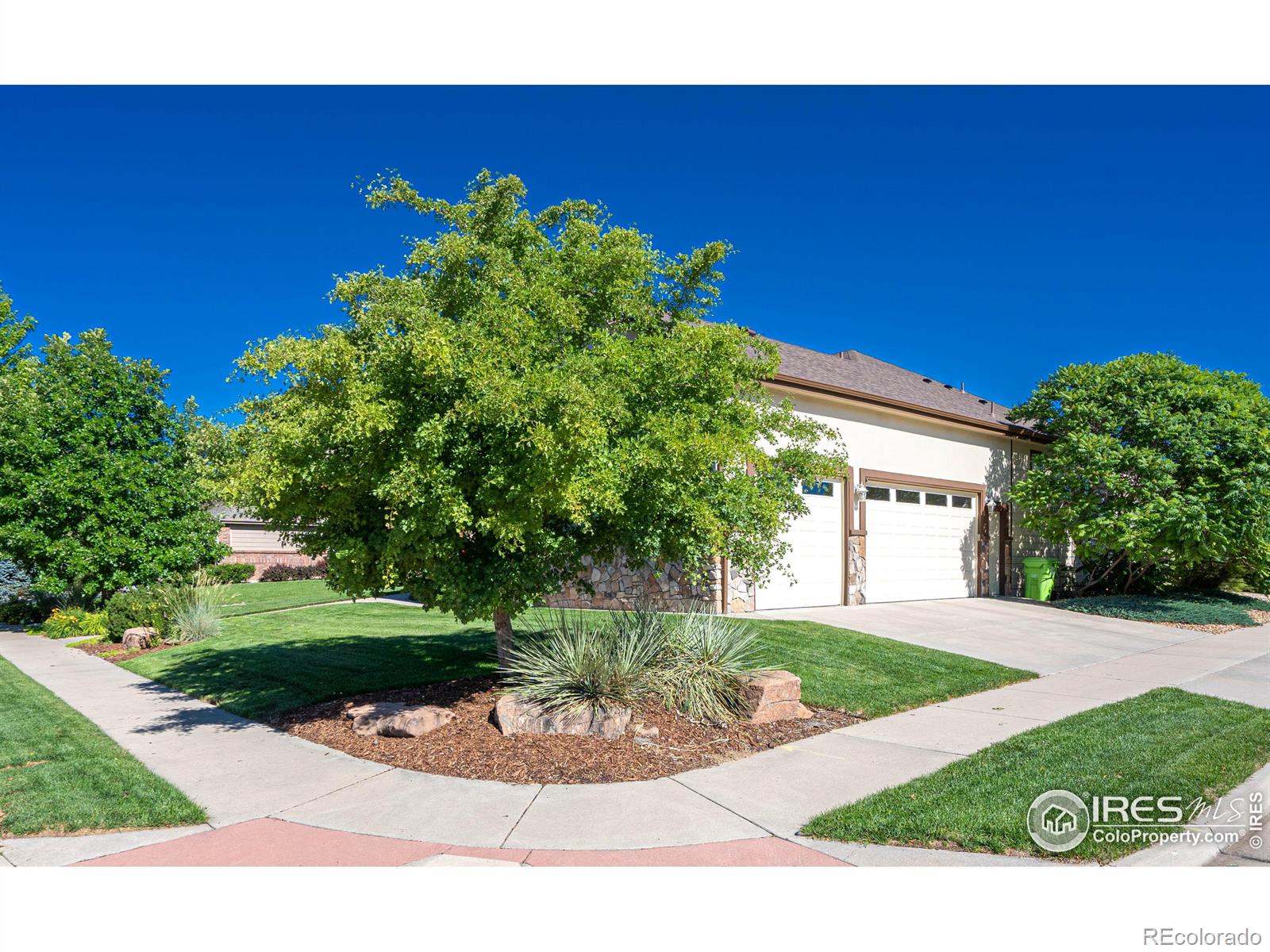 MLS Image #38 for 3532  wild view drive,fort collins, Colorado