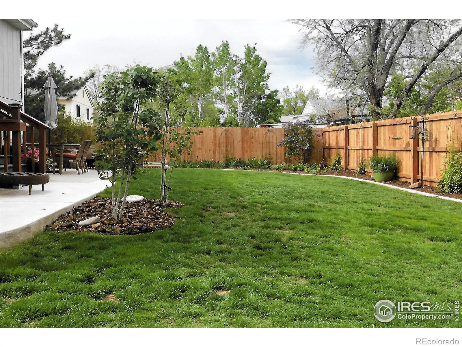 MLS Image #38 for 2120  daley drive,longmont, Colorado