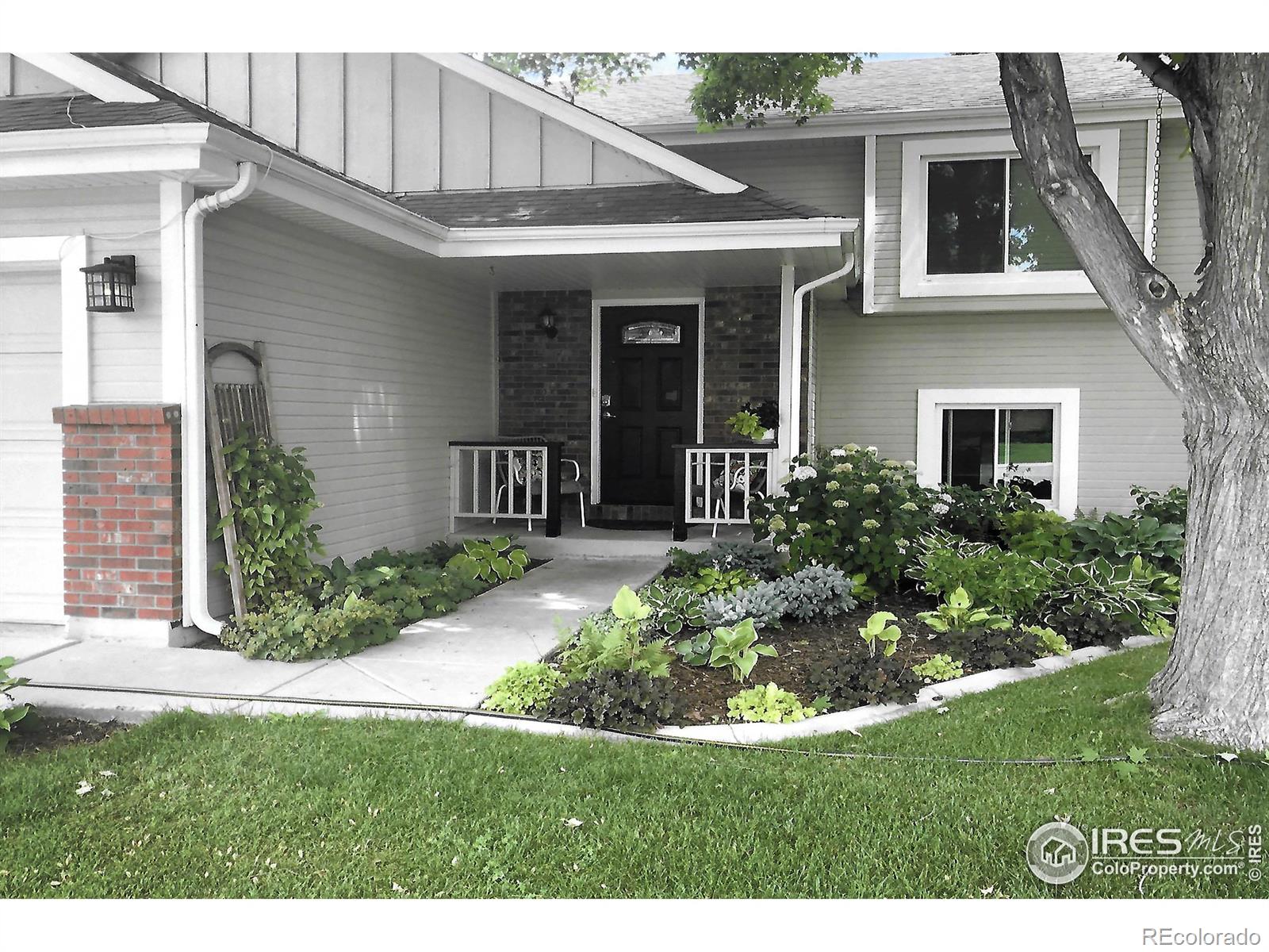 MLS Image #4 for 2120  daley drive,longmont, Colorado