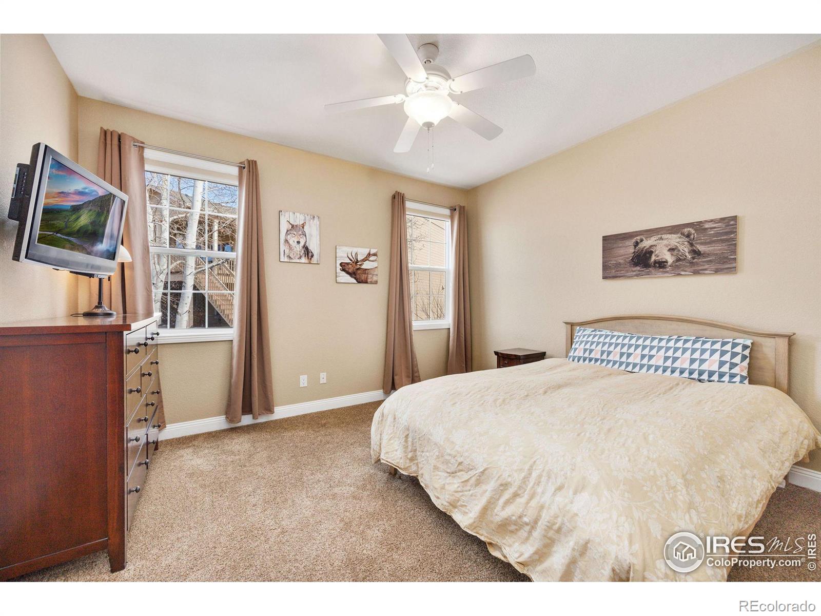 MLS Image #14 for 3653  parlin court,loveland, Colorado