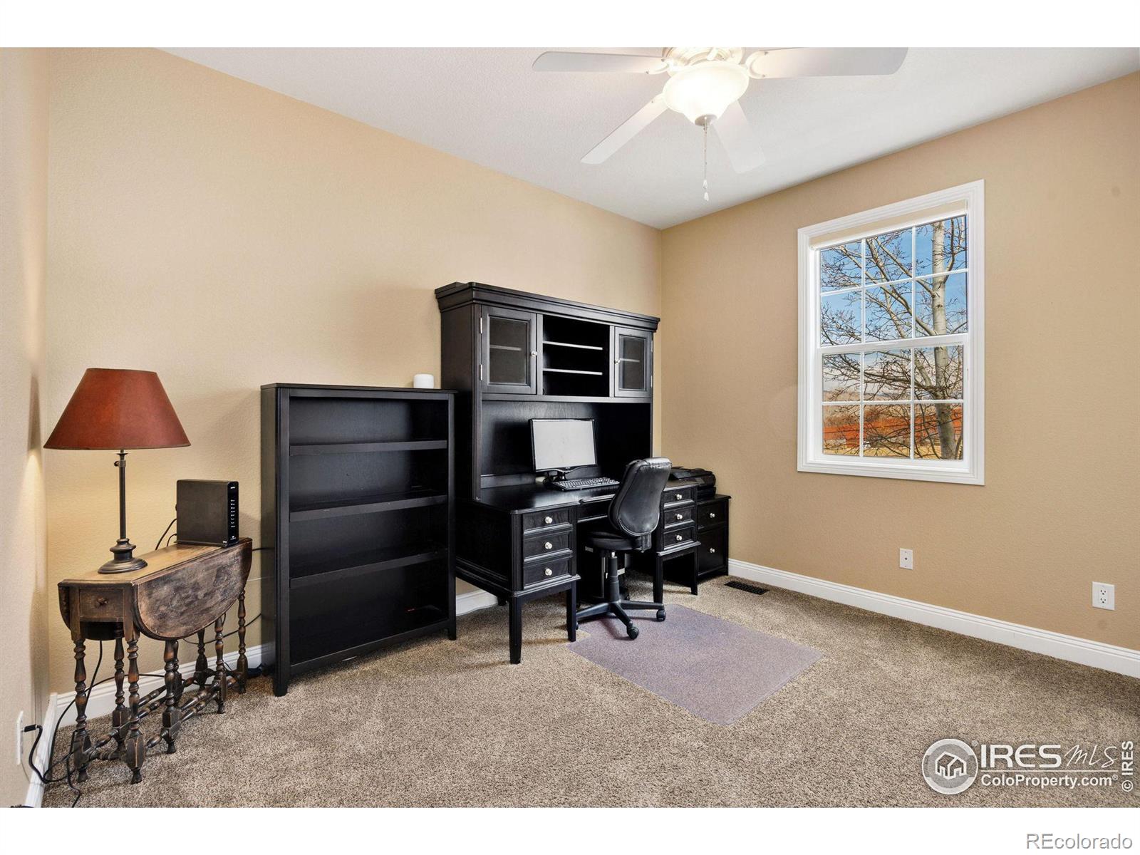 MLS Image #15 for 3653  parlin court,loveland, Colorado