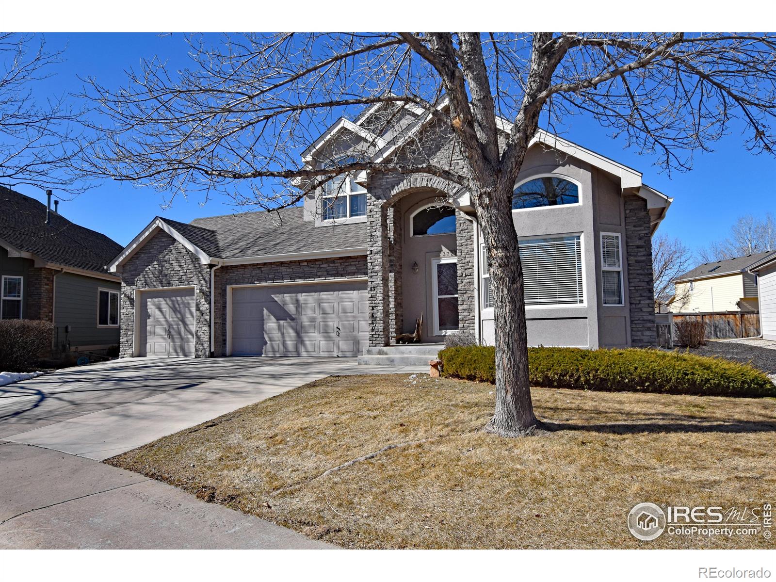 Report Image for 3727  Flagler Avenue,Loveland, Colorado