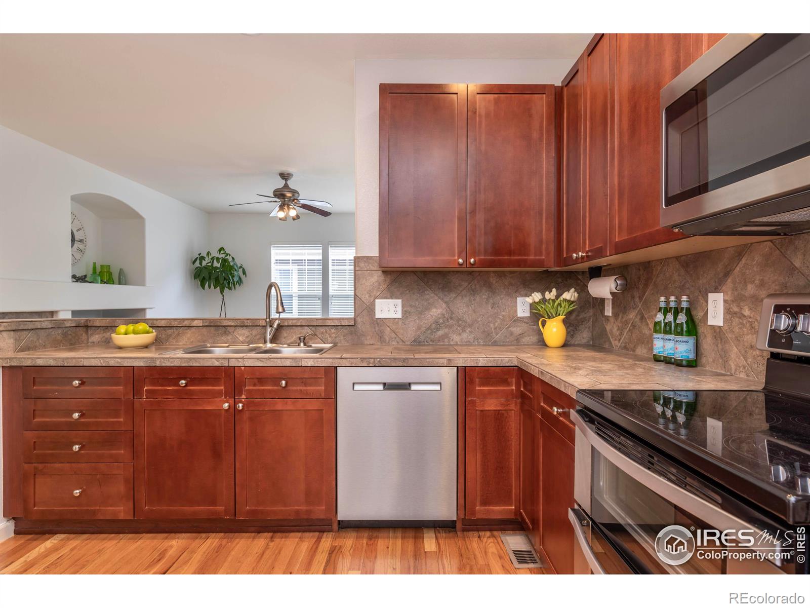 MLS Image #15 for 4209  arezzo drive,longmont, Colorado