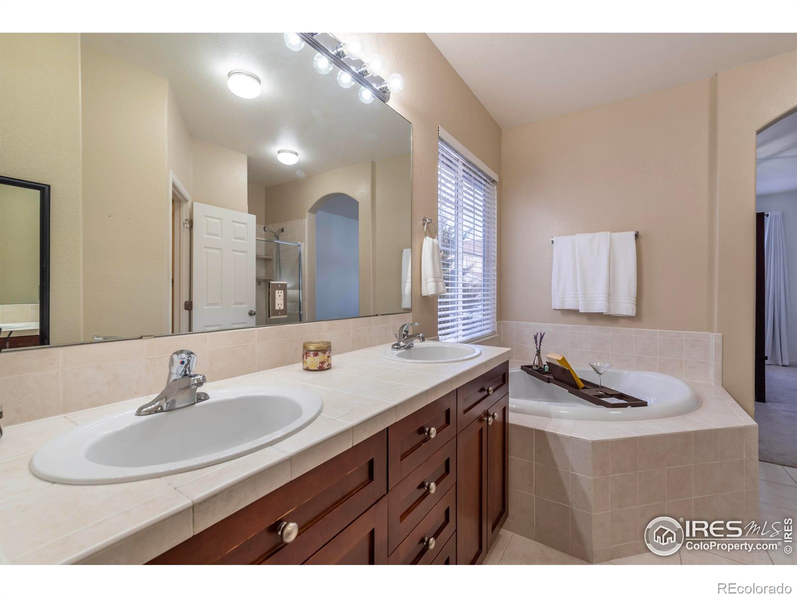 MLS Image #21 for 4209  arezzo drive,longmont, Colorado