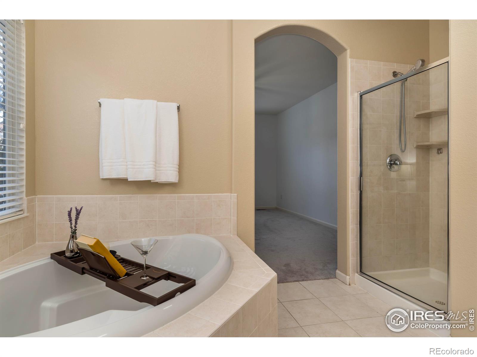 MLS Image #22 for 4209  arezzo drive,longmont, Colorado