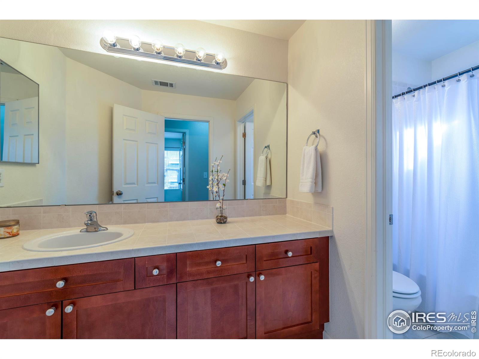 MLS Image #26 for 4209  arezzo drive,longmont, Colorado