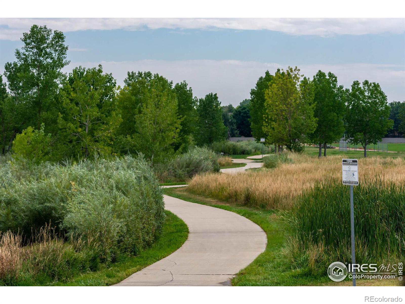 MLS Image #33 for 4209  arezzo drive,longmont, Colorado