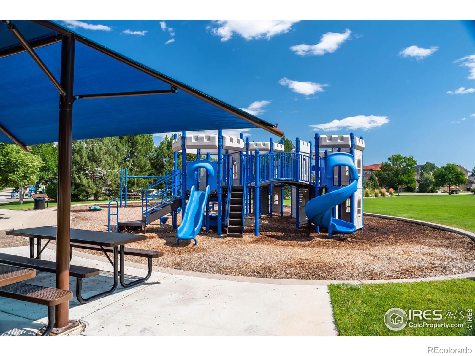 MLS Image #34 for 4209  arezzo drive,longmont, Colorado