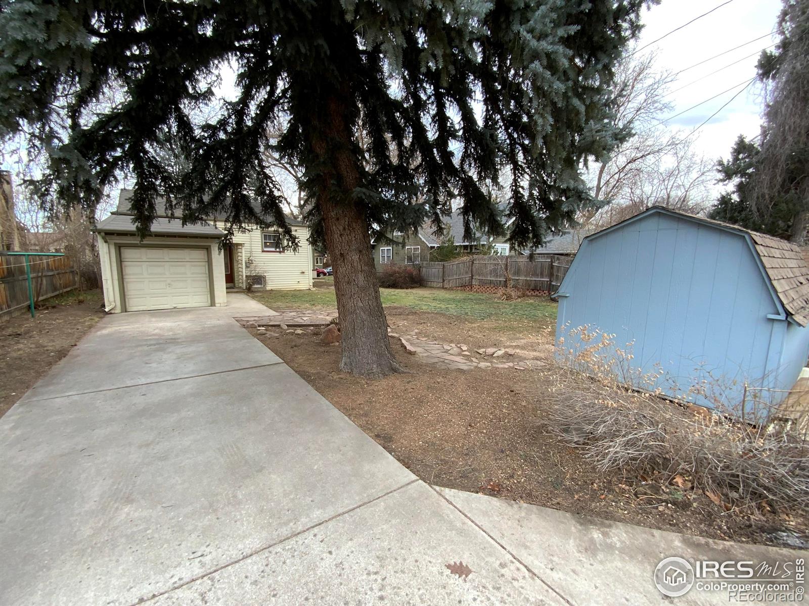 MLS Image #6 for 401  grant street,longmont, Colorado