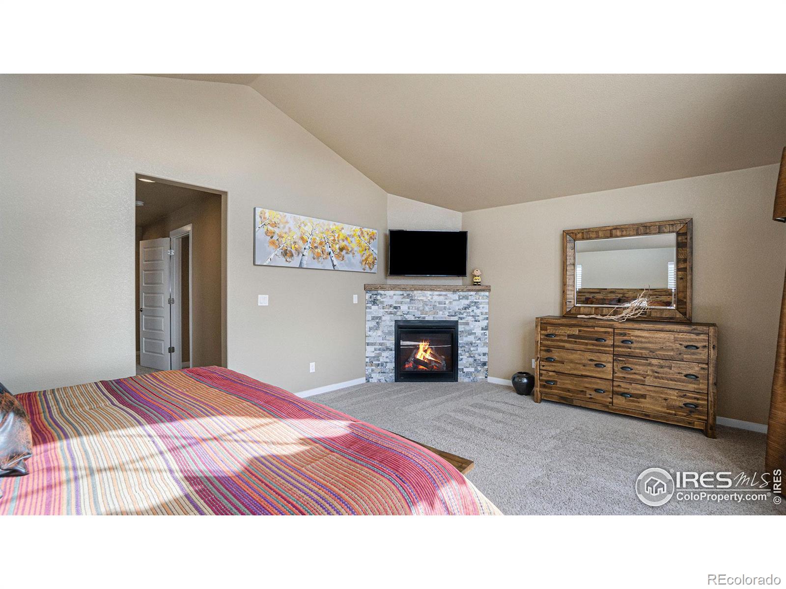 MLS Image #14 for 1596  sierra plaza street,severance, Colorado