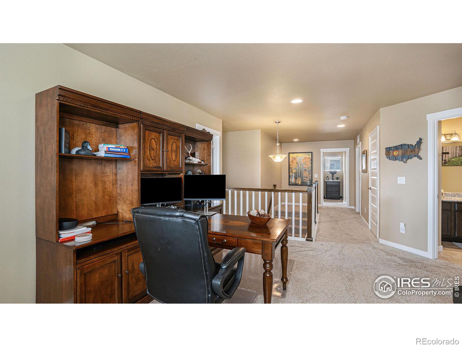 MLS Image #22 for 1596  sierra plaza street,severance, Colorado