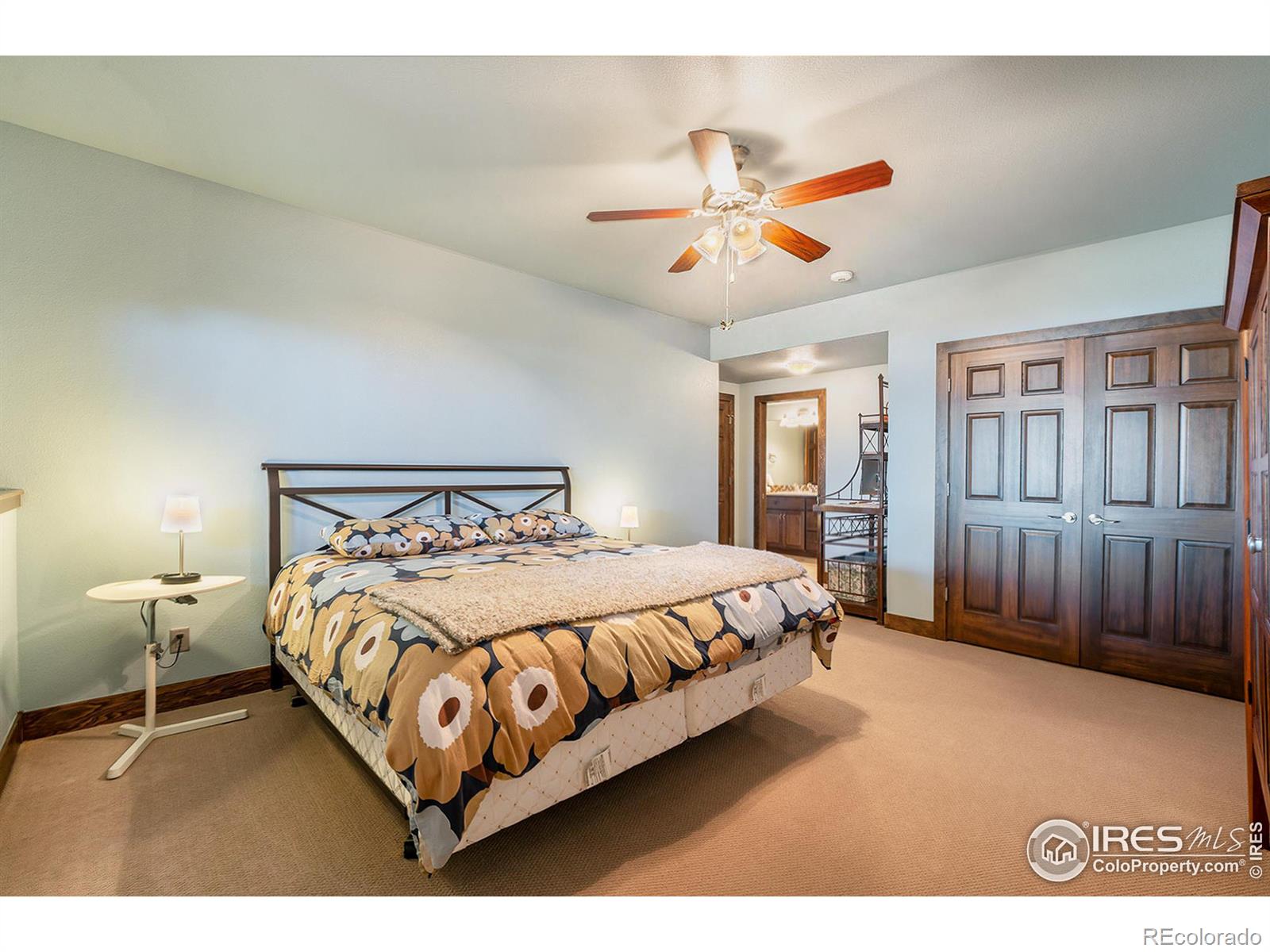 MLS Image #32 for 3175  sophia court,loveland, Colorado