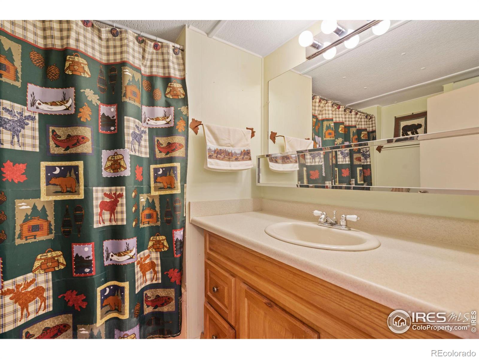 MLS Image #13 for 36  comanche circle,red feather lakes, Colorado