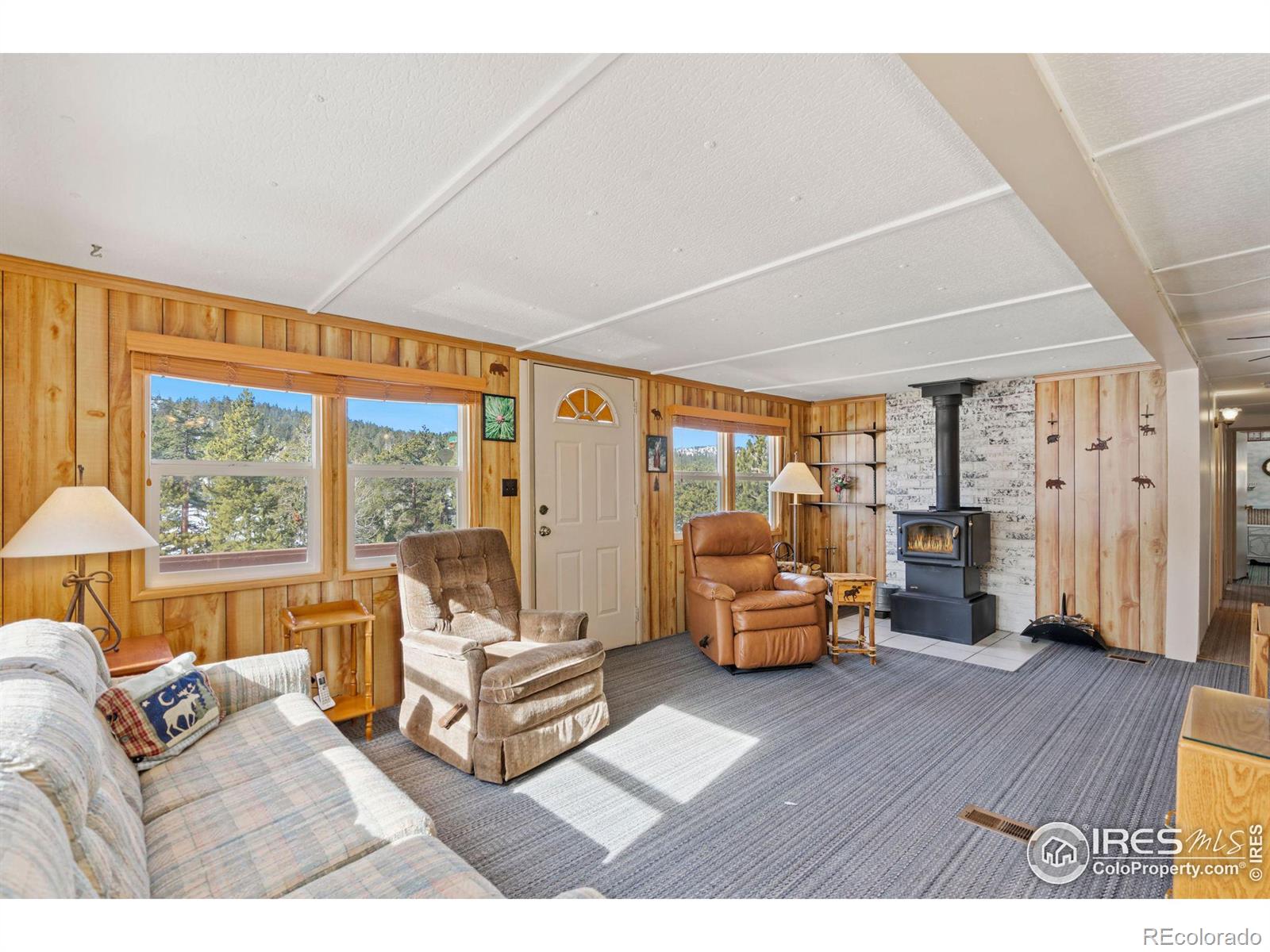 MLS Image #2 for 36  comanche circle,red feather lakes, Colorado