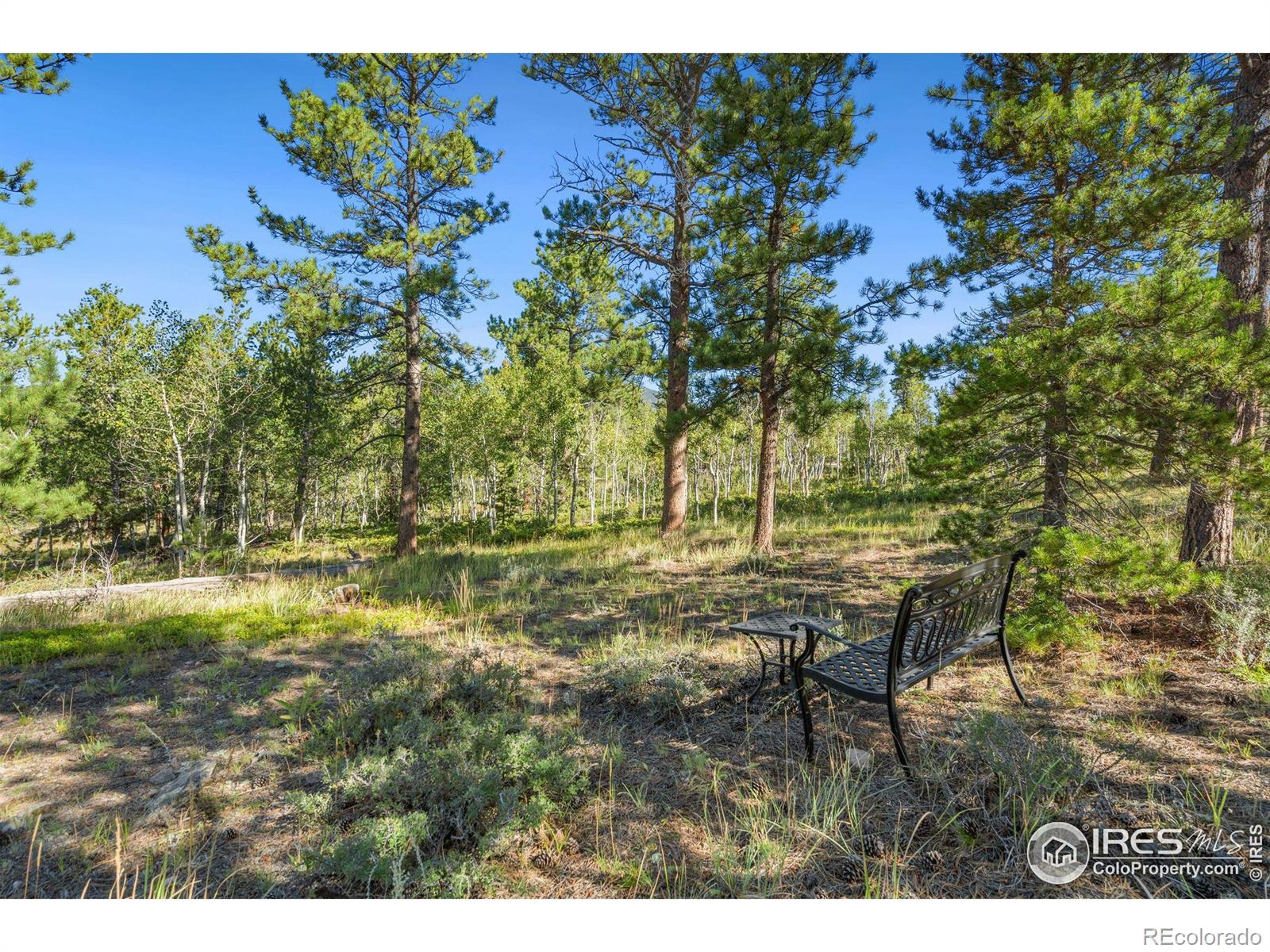 MLS Image #29 for 36  comanche circle,red feather lakes, Colorado