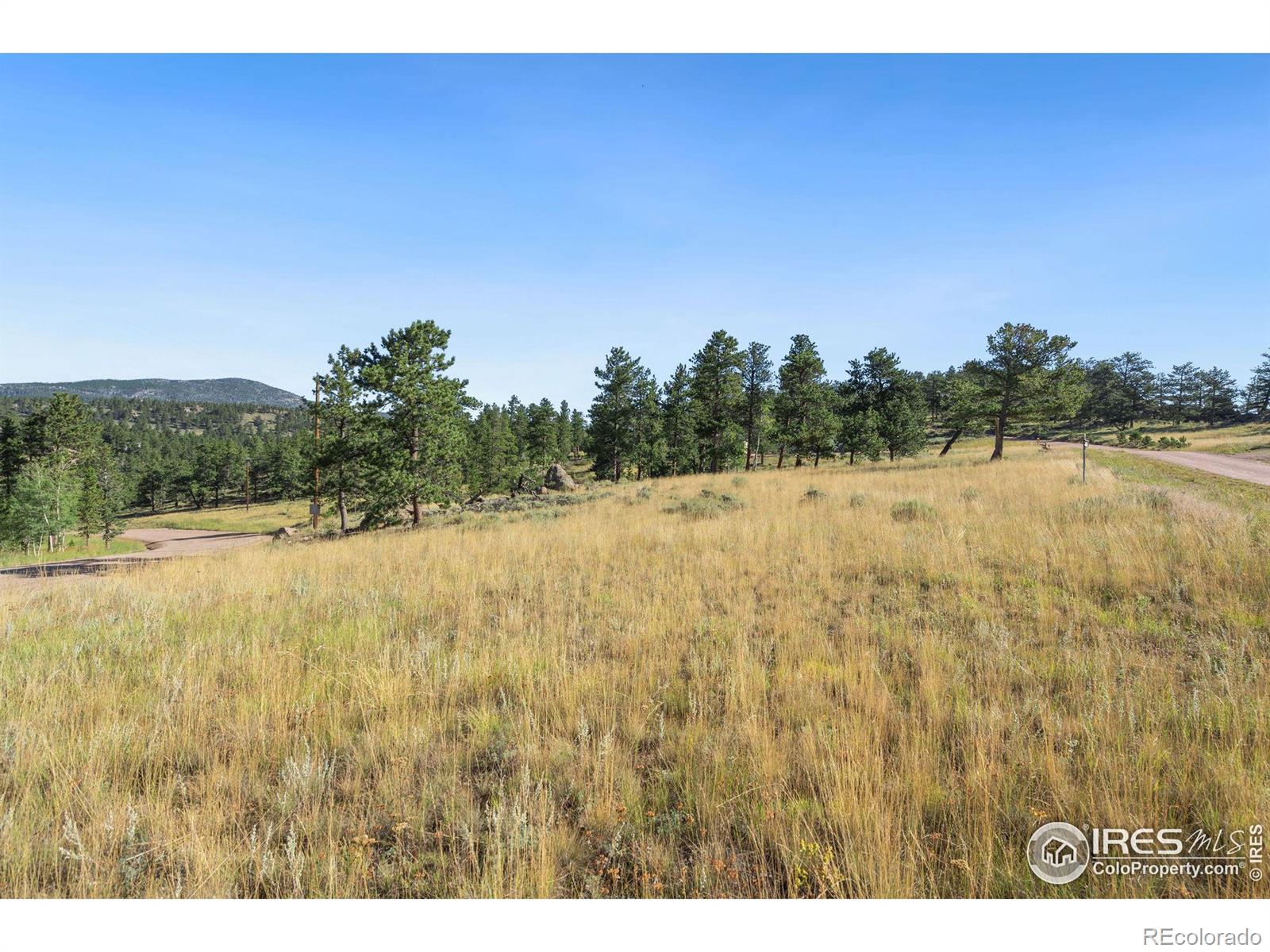 MLS Image #33 for 36  comanche circle,red feather lakes, Colorado