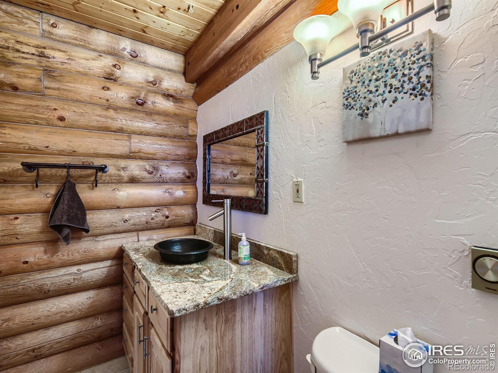 MLS Image #13 for 1238  doris circle,erie, Colorado