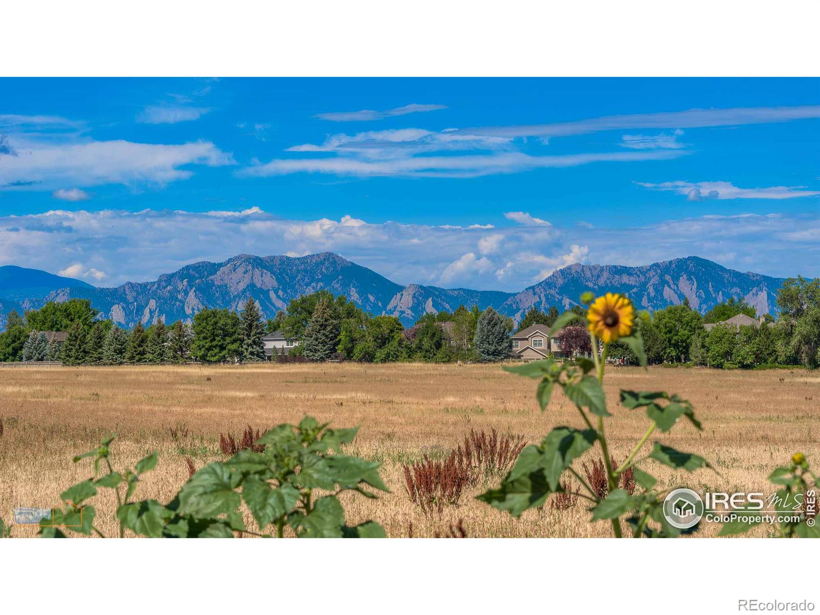 MLS Image #4 for 1528  harvest drive,lafayette, Colorado