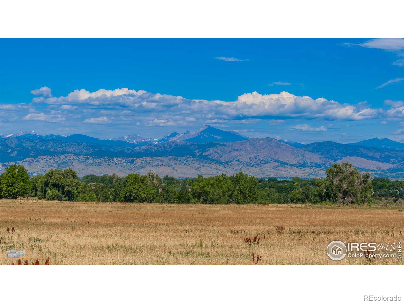 MLS Image #5 for 1528  harvest drive,lafayette, Colorado