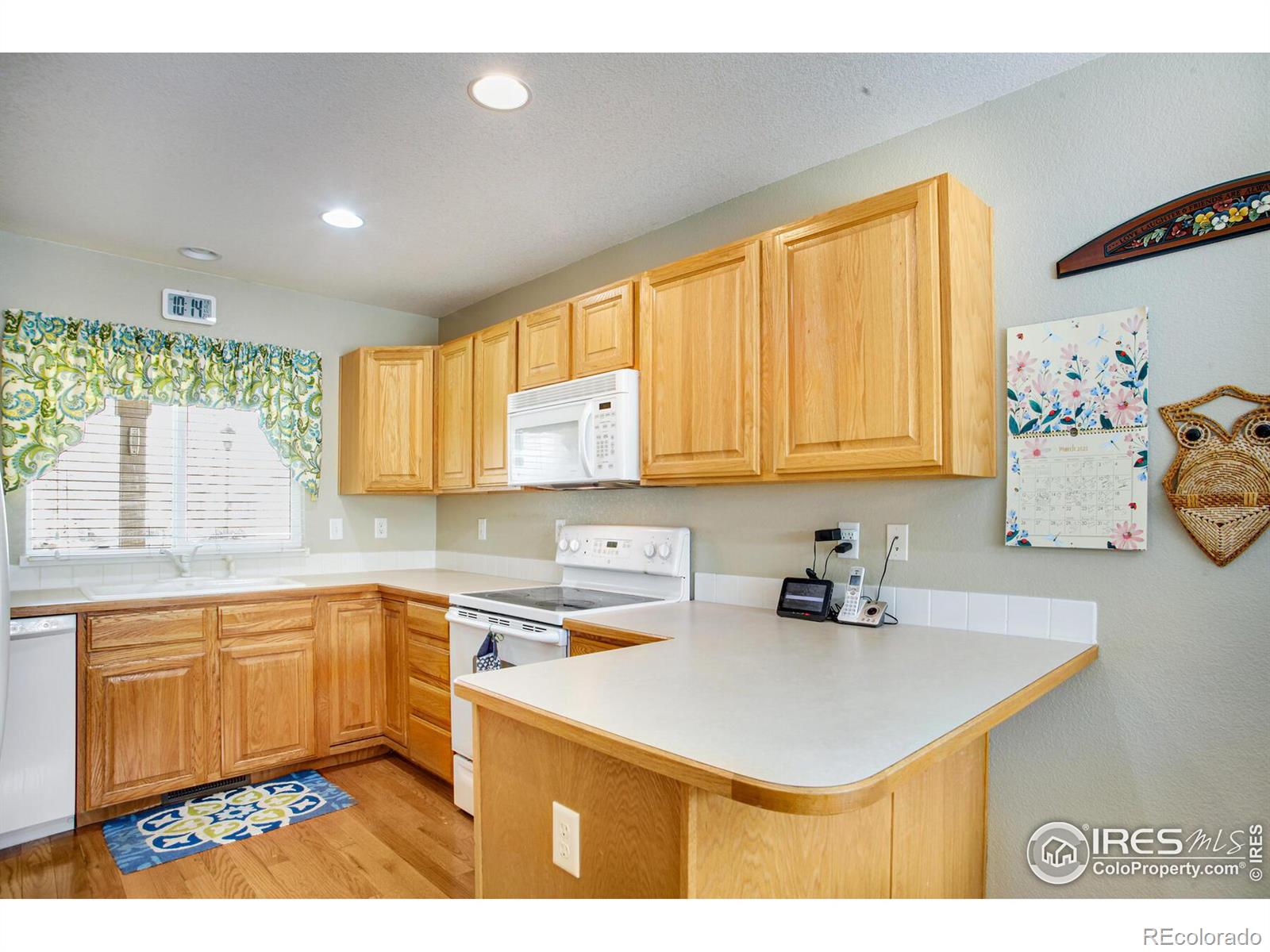 MLS Image #13 for 4062  harrington court,fort collins, Colorado