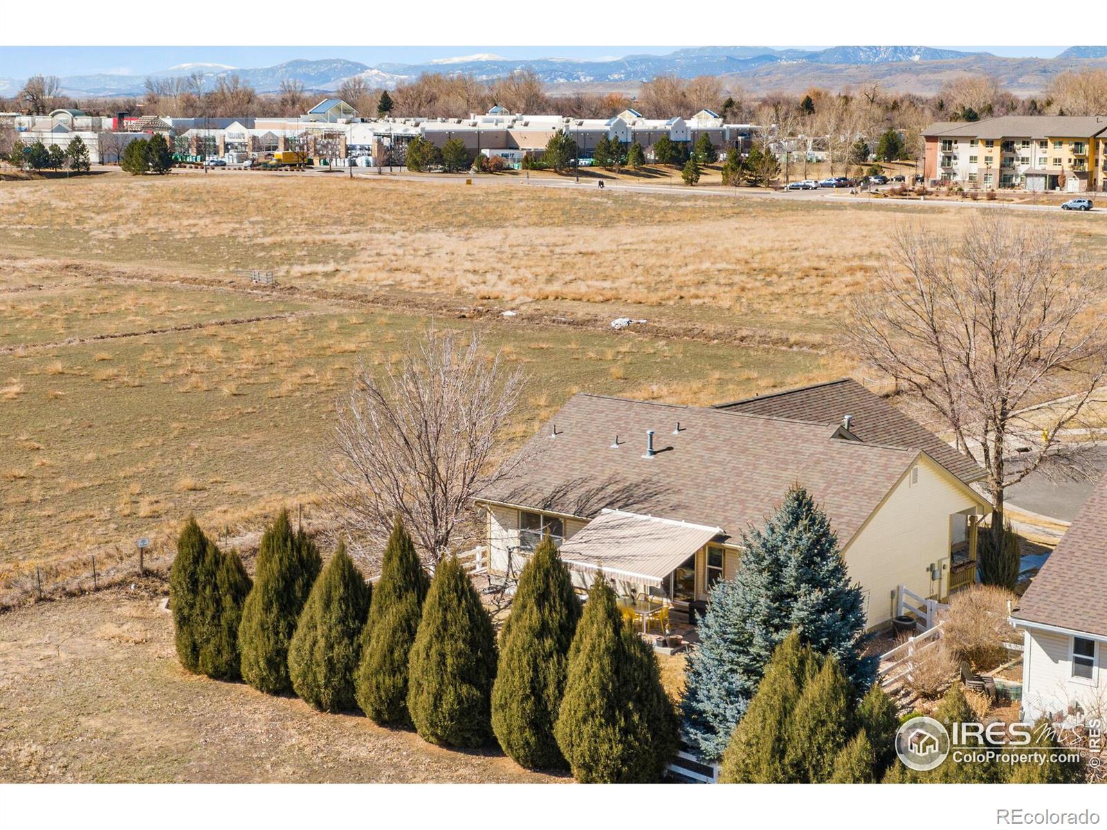 MLS Image #2 for 4062  harrington court,fort collins, Colorado