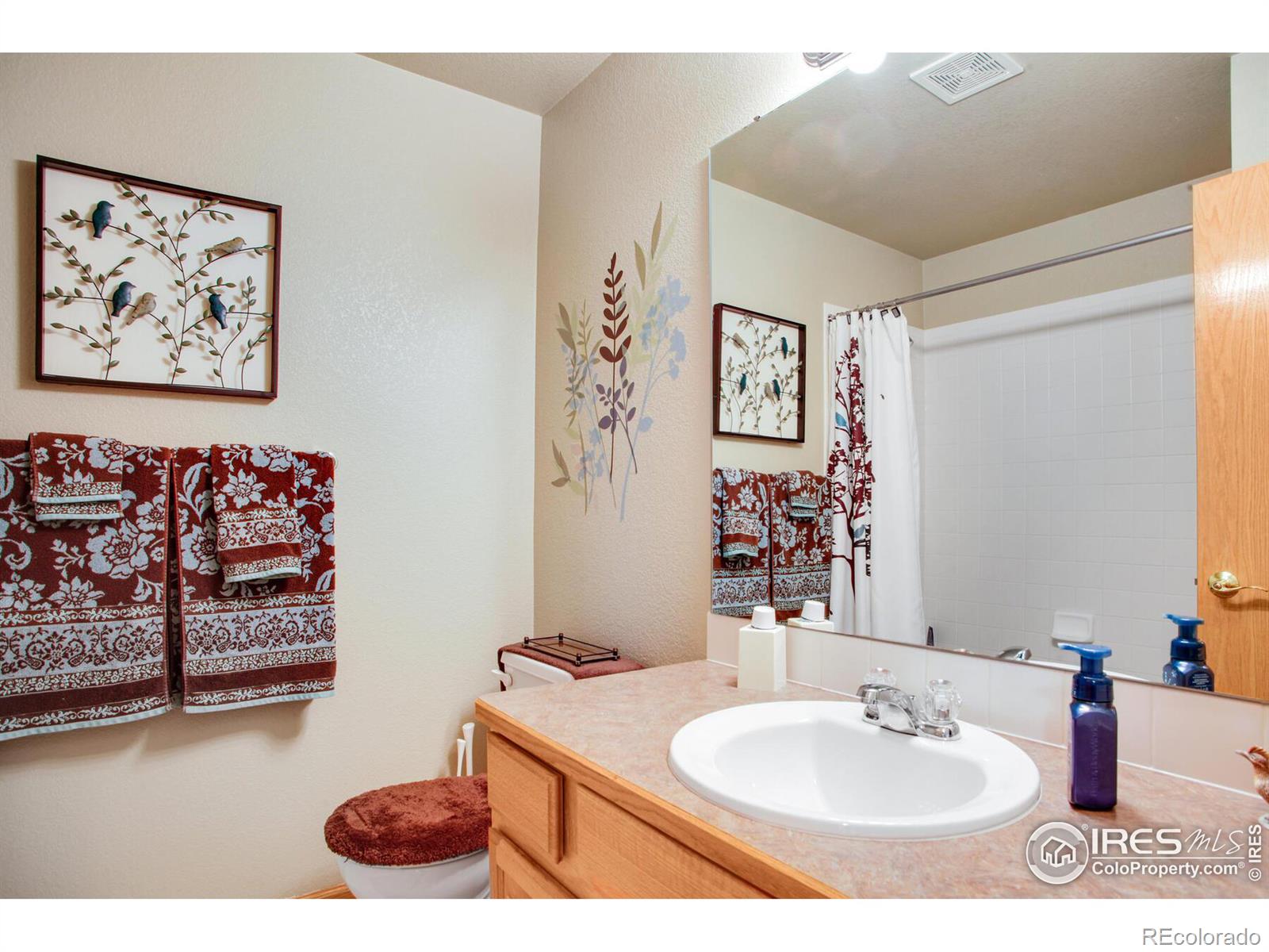 MLS Image #20 for 4062  harrington court,fort collins, Colorado