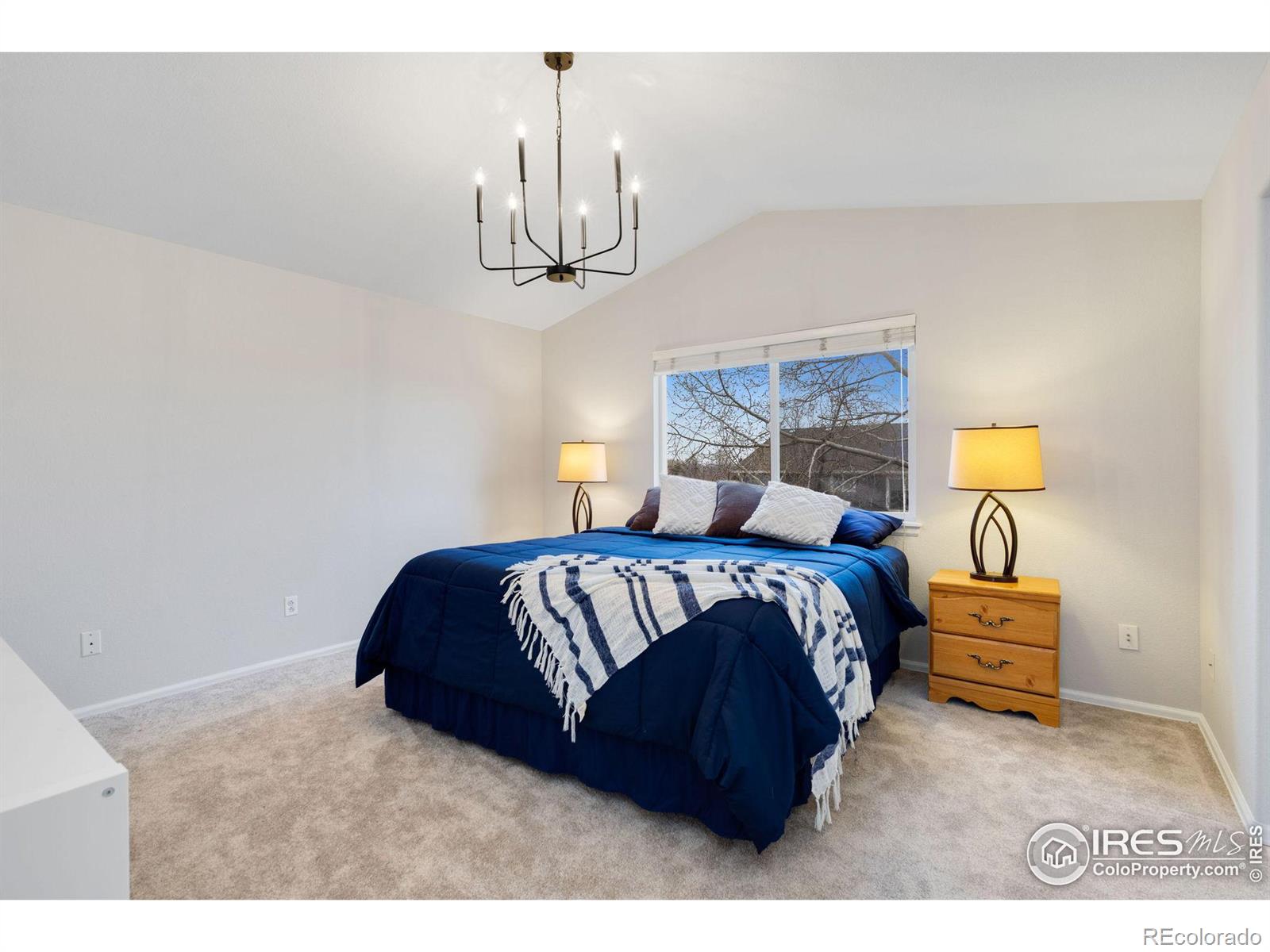 MLS Image #13 for 7008  woodrow drive,fort collins, Colorado