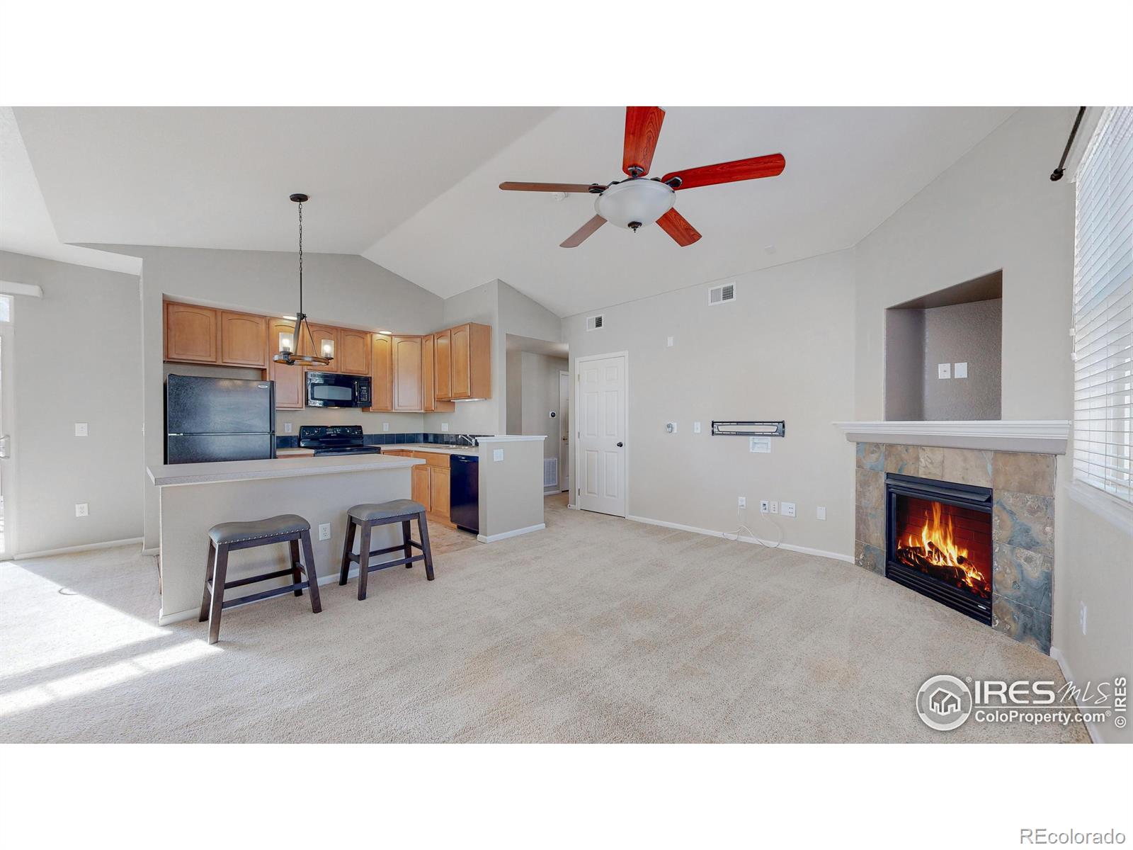 MLS Image #7 for 2115  grays peak drive,loveland, Colorado