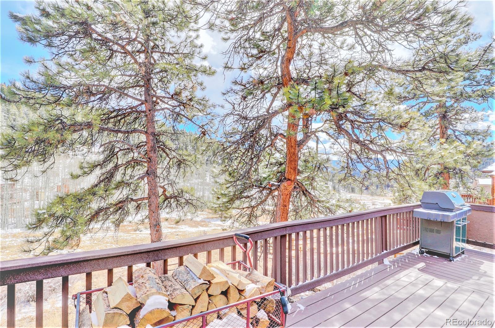 Report Image for 152  Wisp Creek Drive,Bailey, Colorado
