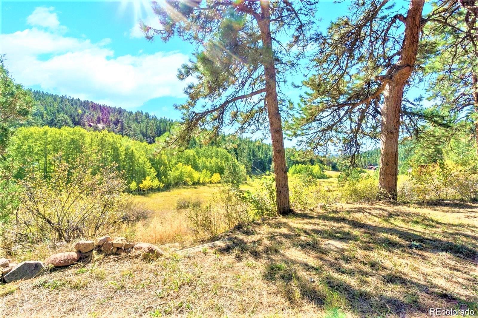 MLS Image #2 for 152  wisp creek drive,bailey, Colorado