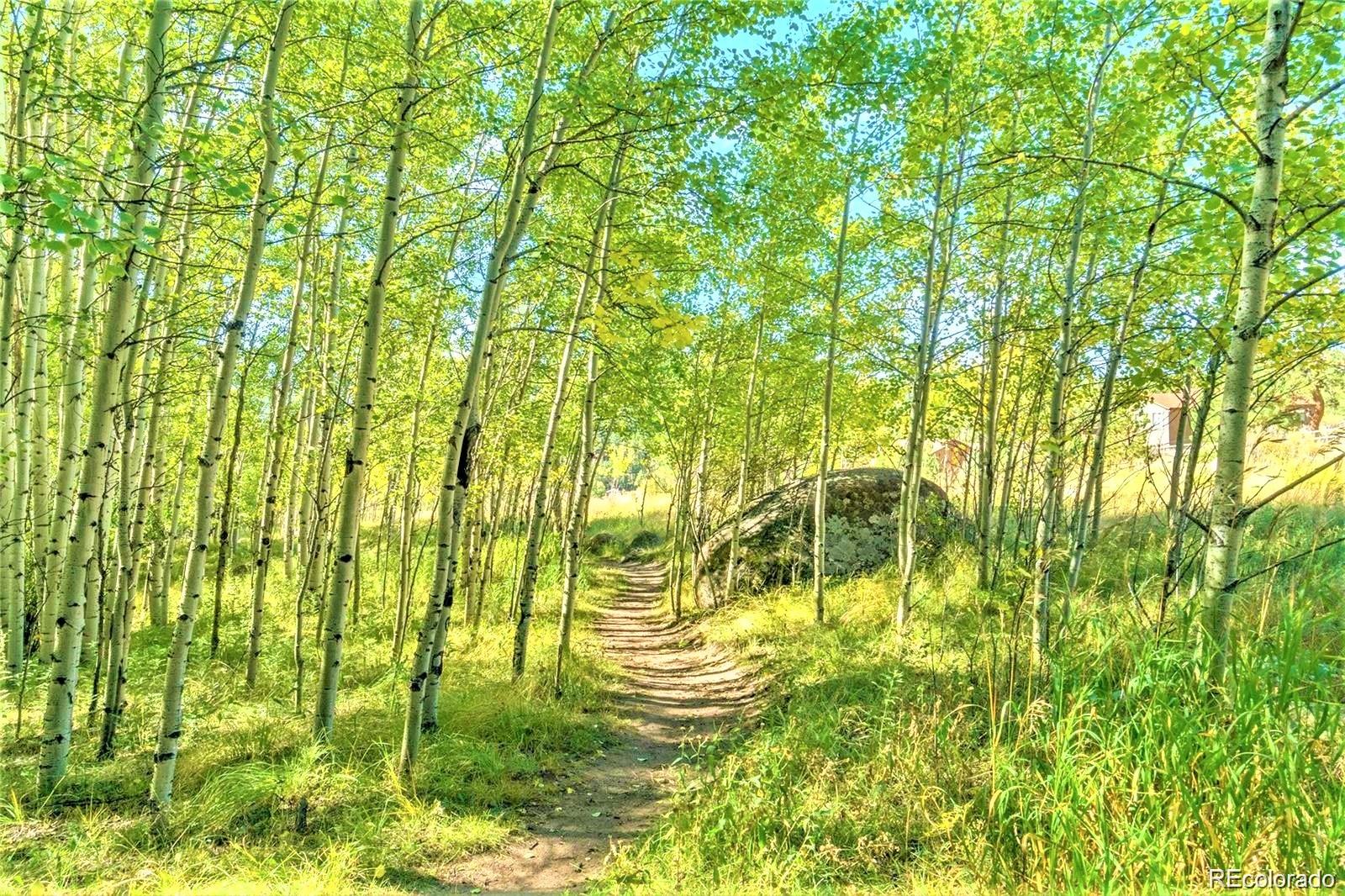 MLS Image #28 for 152  wisp creek drive,bailey, Colorado