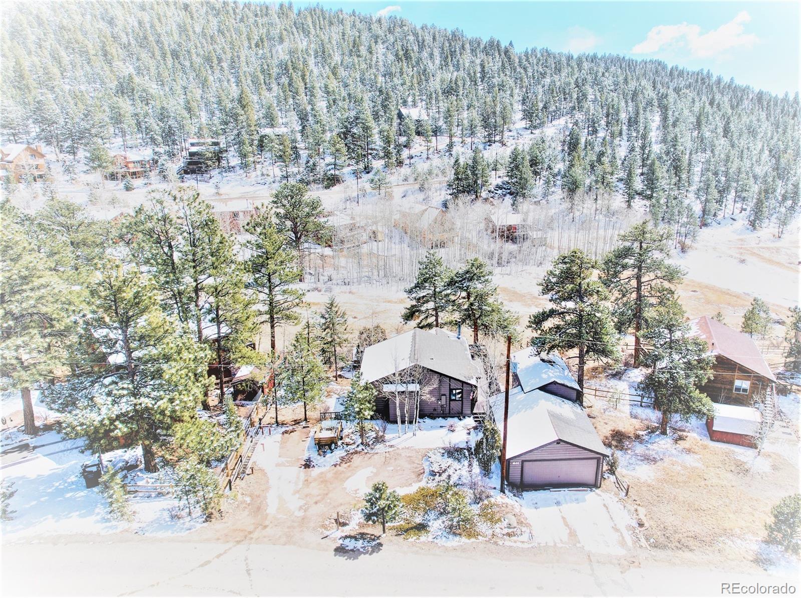 MLS Image #29 for 152  wisp creek drive,bailey, Colorado