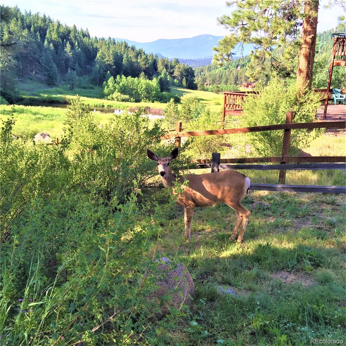 MLS Image #31 for 152  wisp creek drive,bailey, Colorado