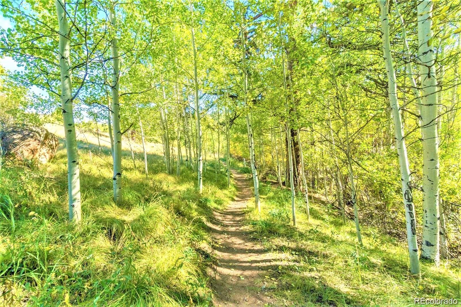 MLS Image #7 for 152  wisp creek drive,bailey, Colorado