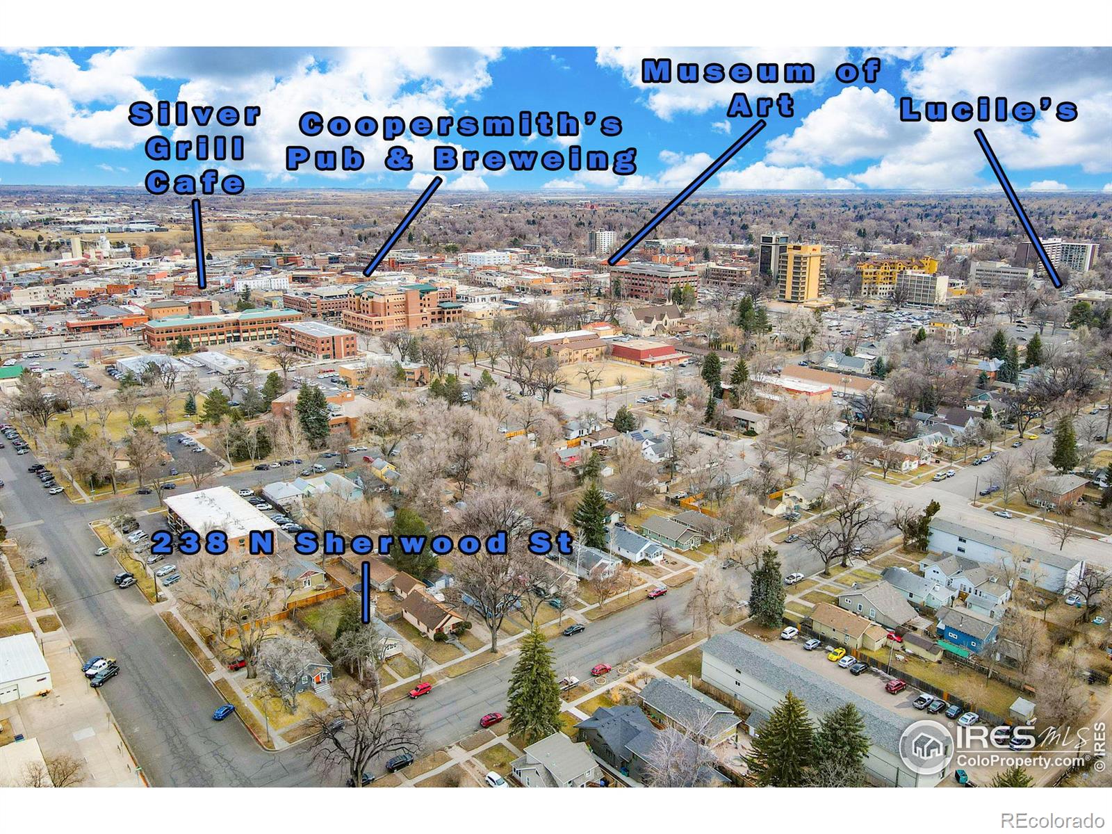 MLS Image #29 for 238 n sherwood street,fort collins, Colorado