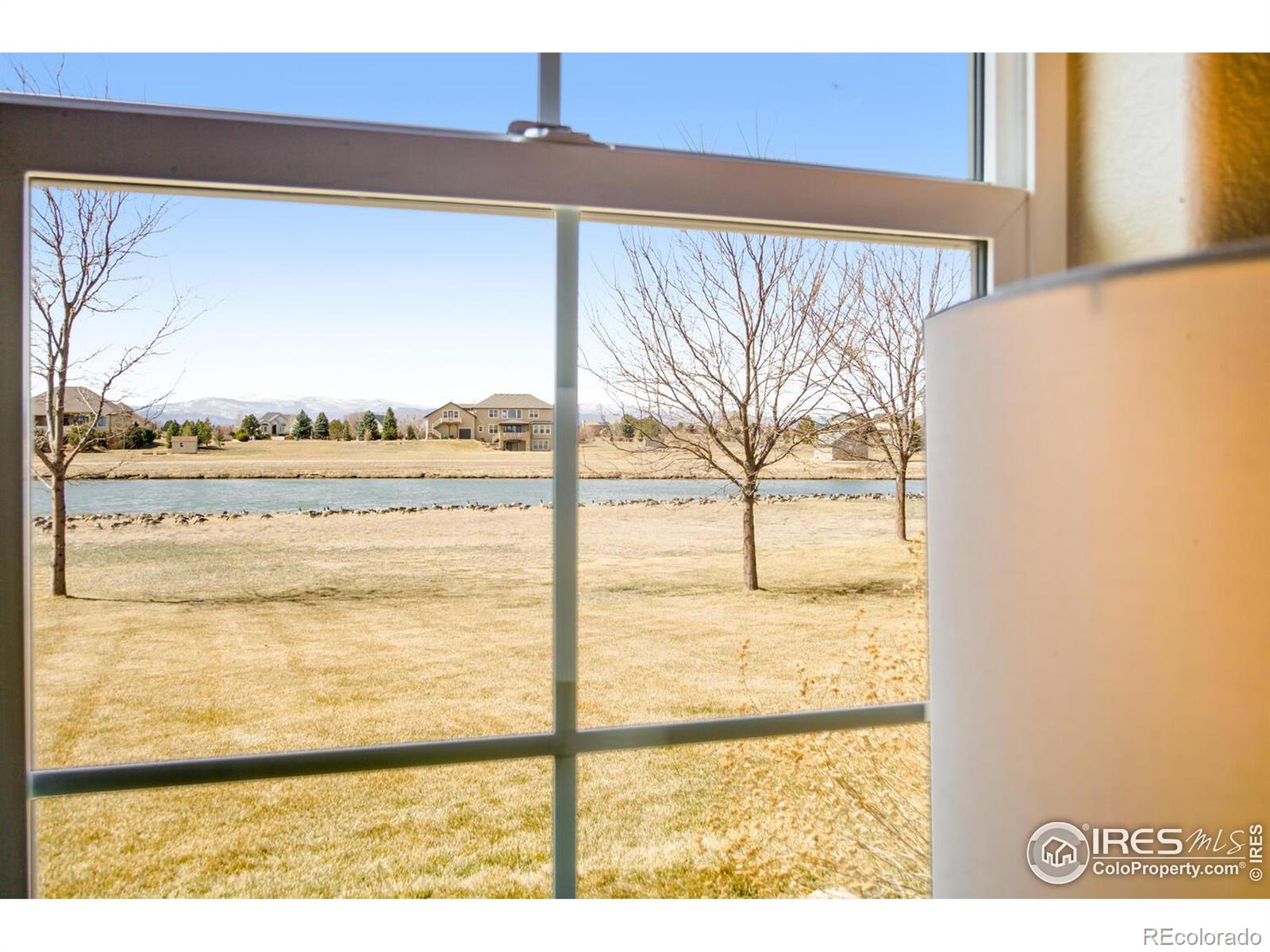 MLS Image #23 for 37123  soaring eagle circle,severance, Colorado