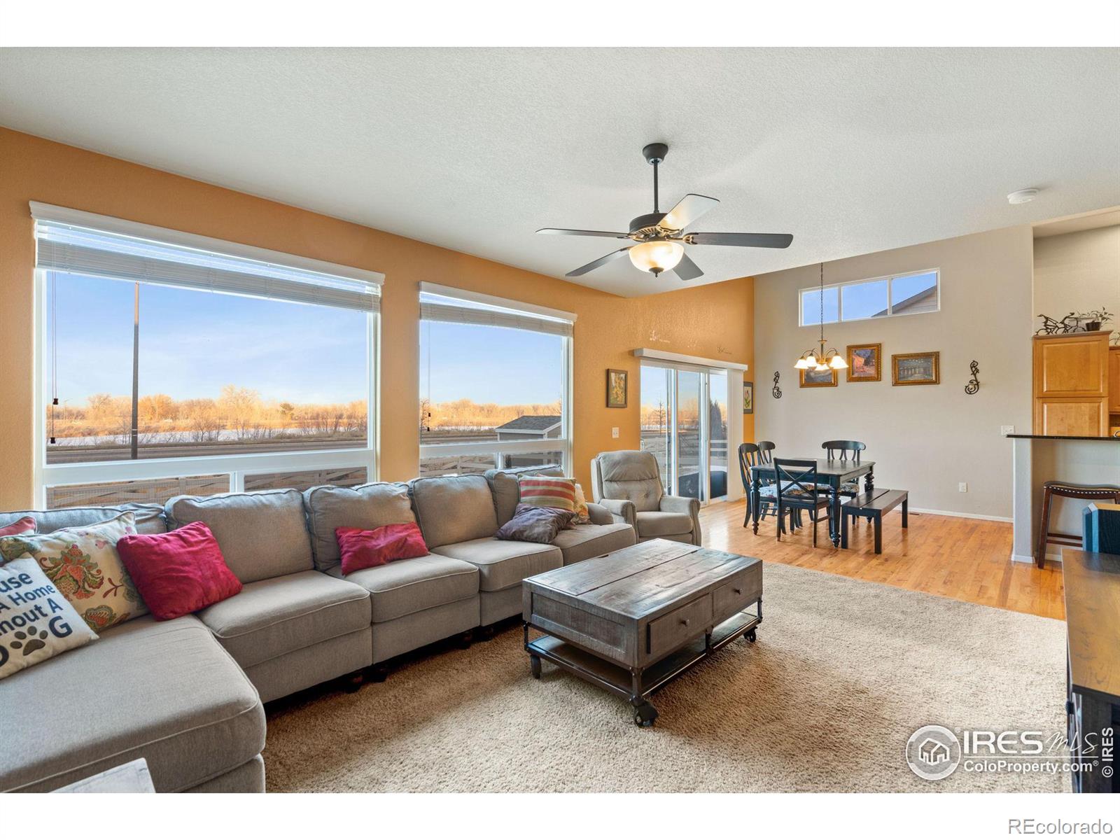 MLS Image #12 for 2932  denver drive,fort collins, Colorado