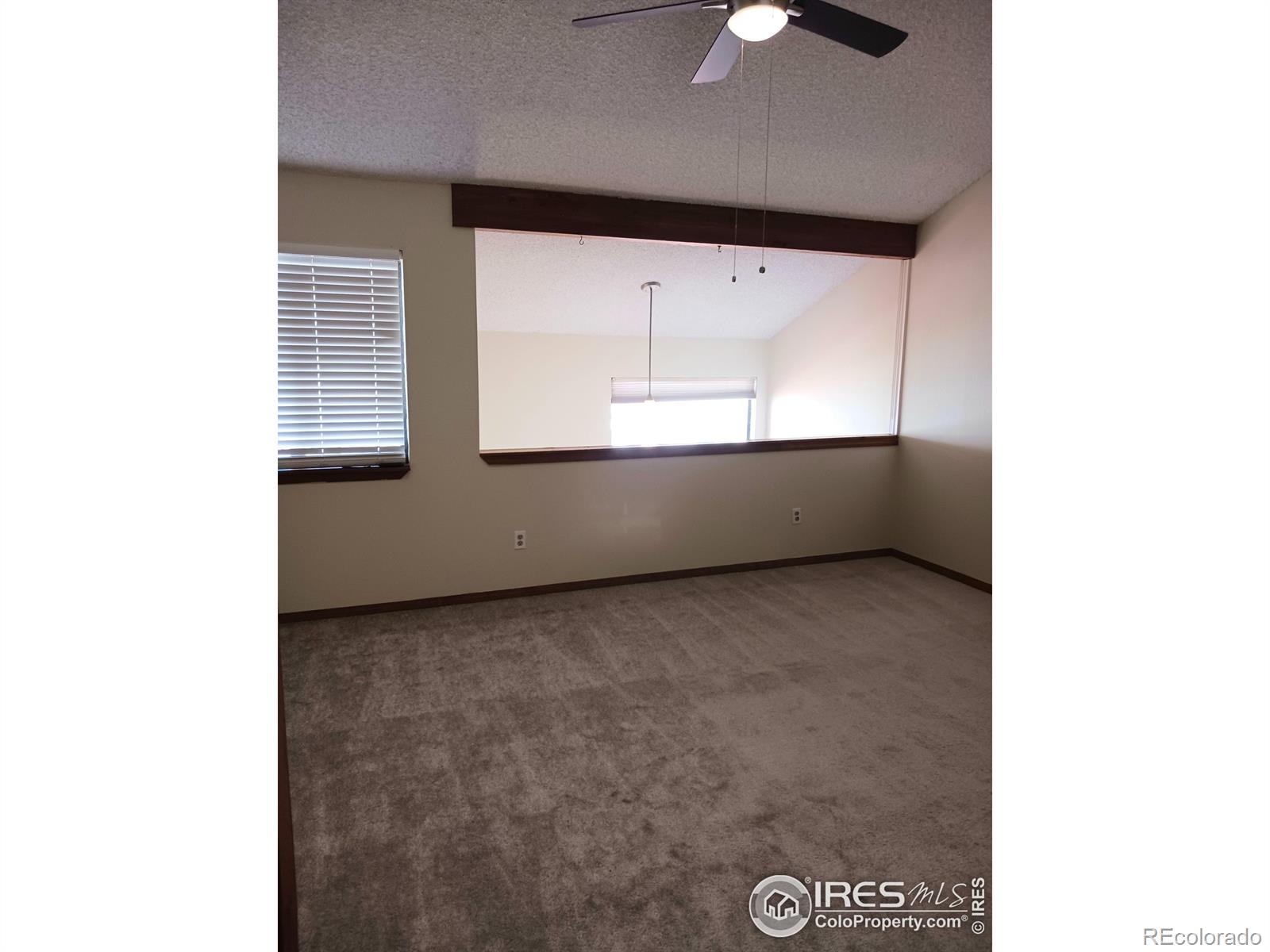 MLS Image #13 for 817  gabriel court,dacono, Colorado