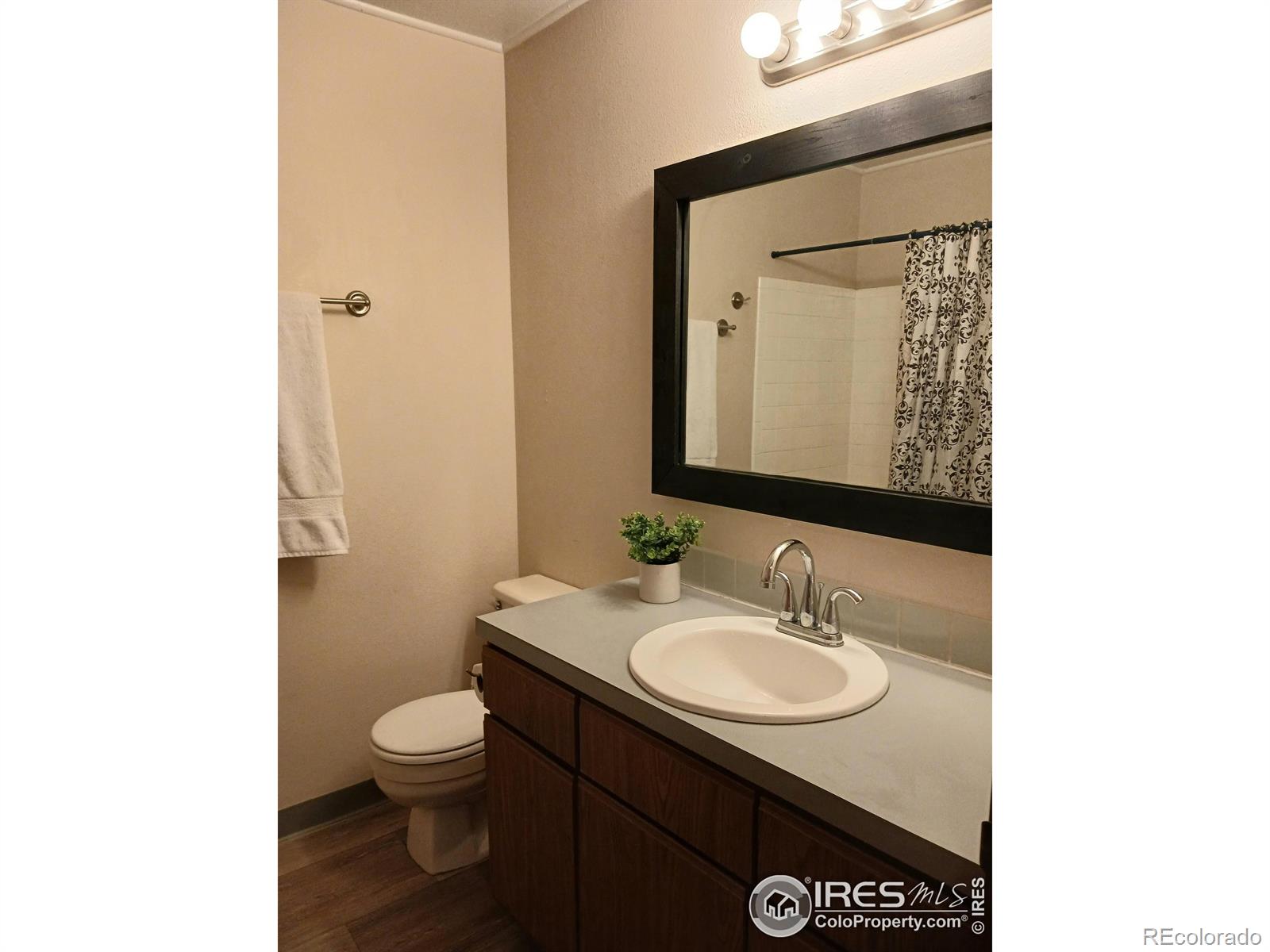MLS Image #16 for 817  gabriel court,dacono, Colorado