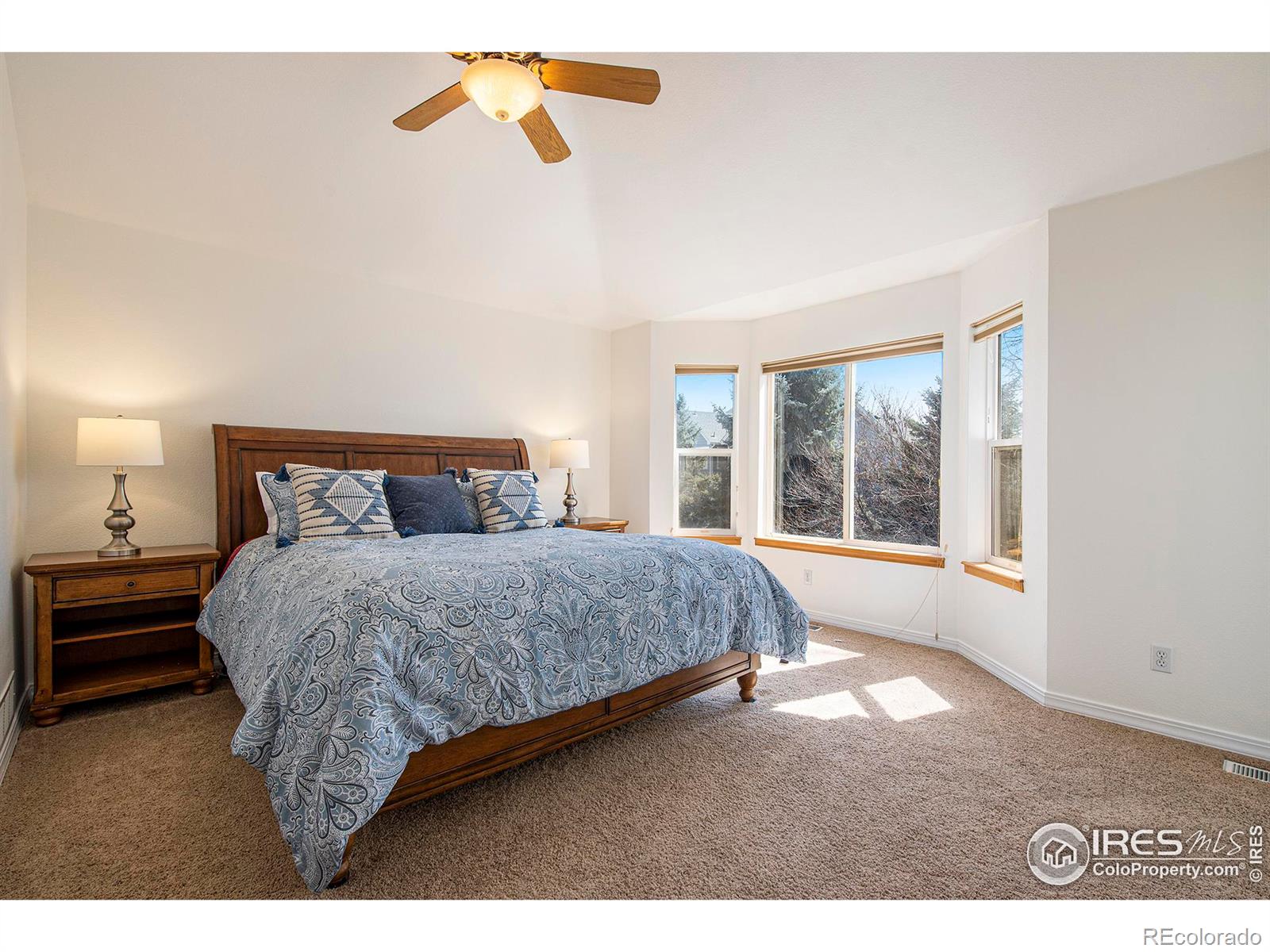 MLS Image #13 for 2103  pintail drive,longmont, Colorado