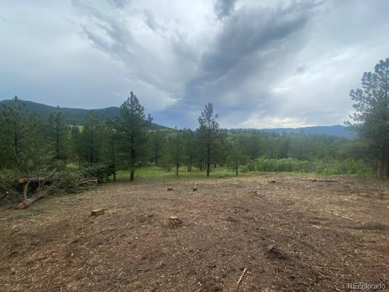 MLS Image #2 for lot 1  silverheels drive,larkspur, Colorado
