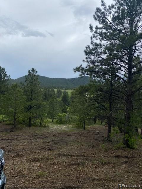 MLS Image #3 for lot 1  silverheels drive,larkspur, Colorado