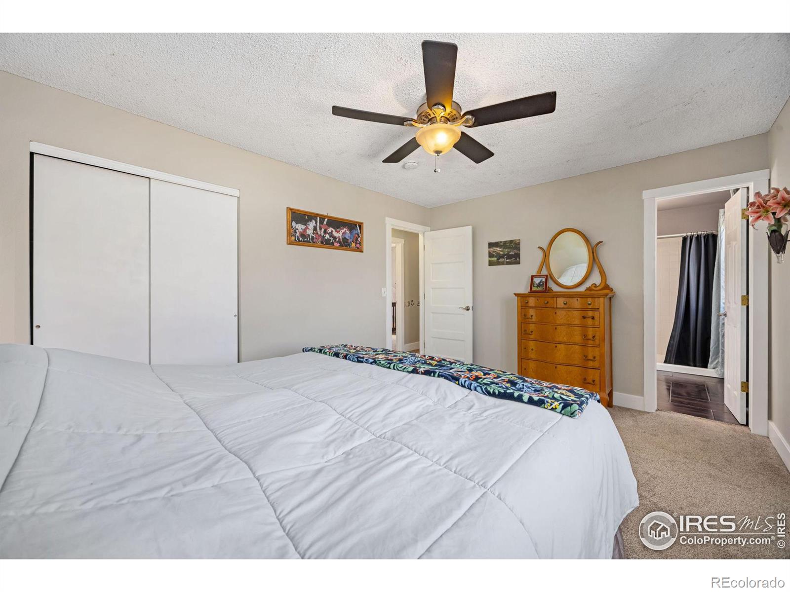 MLS Image #19 for 1044 n redbud drive,loveland, Colorado