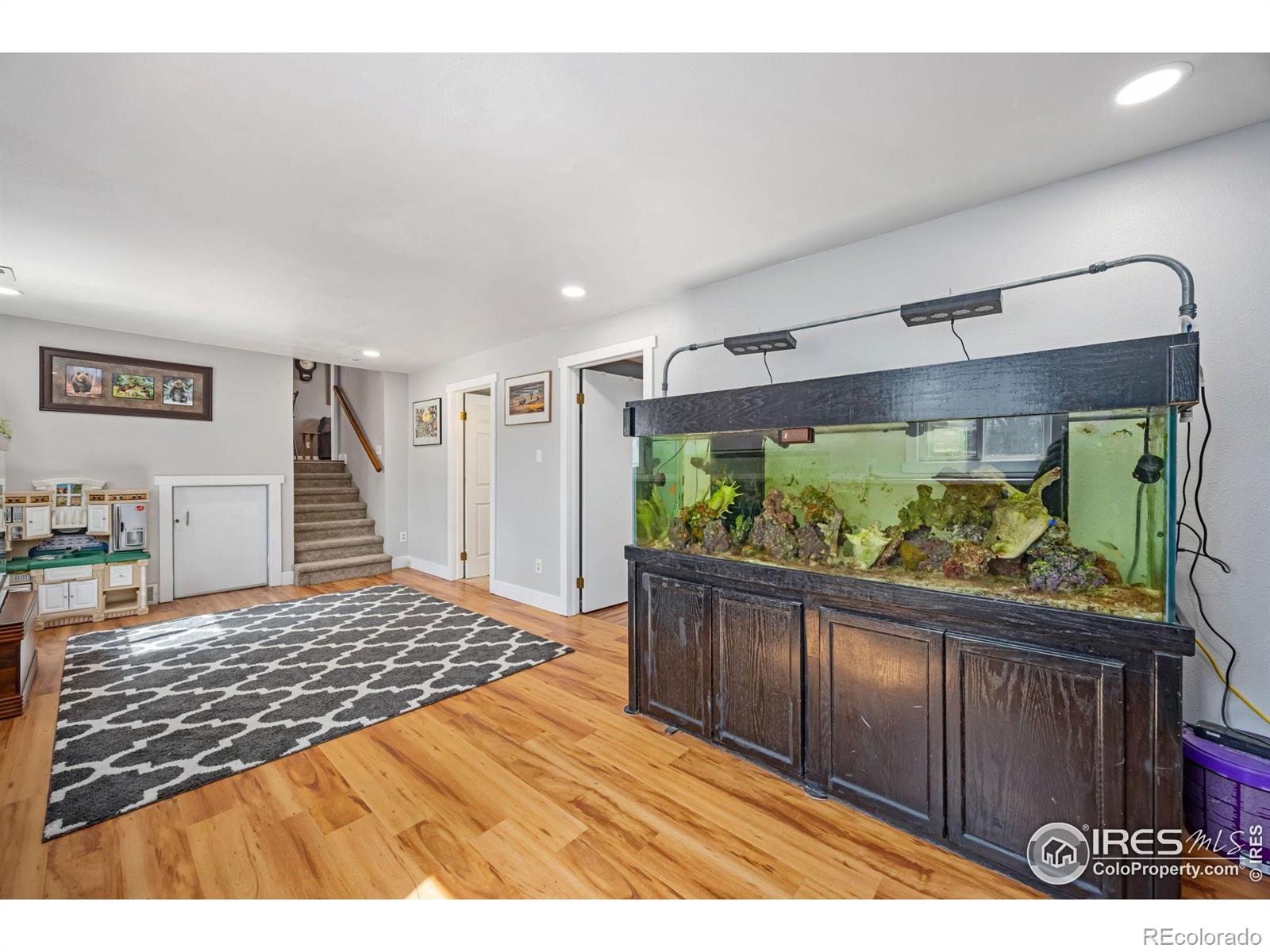 MLS Image #22 for 1044 n redbud drive,loveland, Colorado